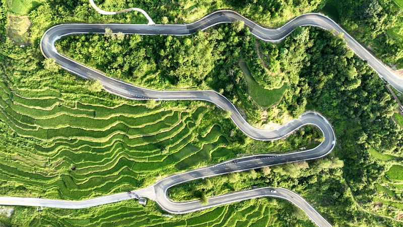 环绕在青山梯田间的中国乡村旅游1号公路 (2)_proc.jpg