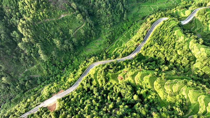 环绕在青山梯田间的中国乡村旅游1号公路 (1)_proc.jpg