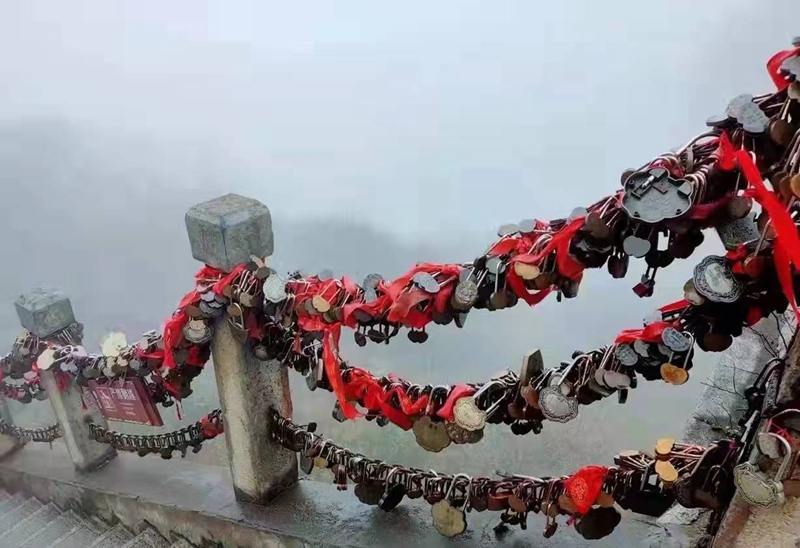 微信图片_20211213145308.jpg