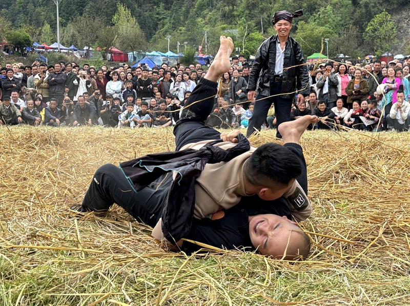 选手自由摔跤3_proc.jpg