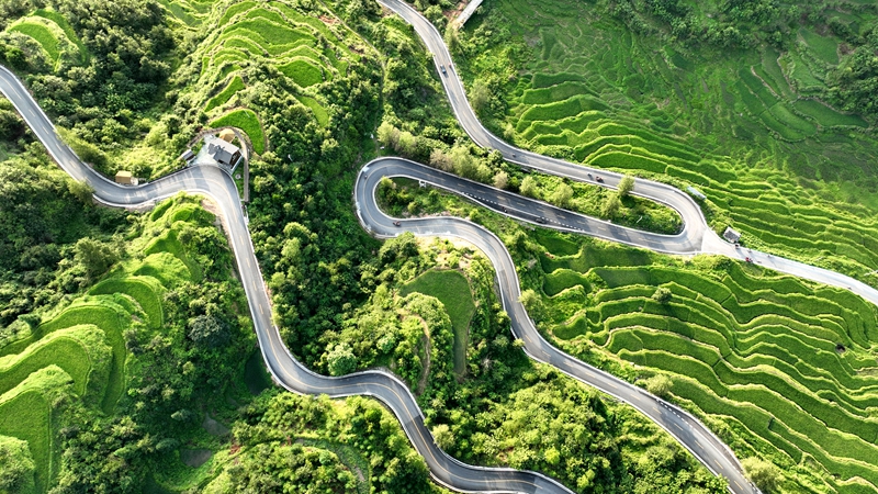 环绕在青山梯田间的中国乡村旅游1号公路 (9)_proc.jpg