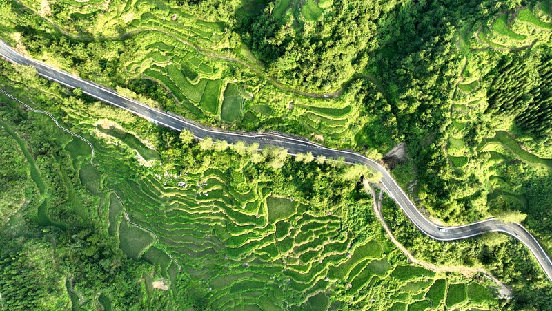 环绕在青山梯田间的中国乡村旅游1号公路 (8)_proc.jpg