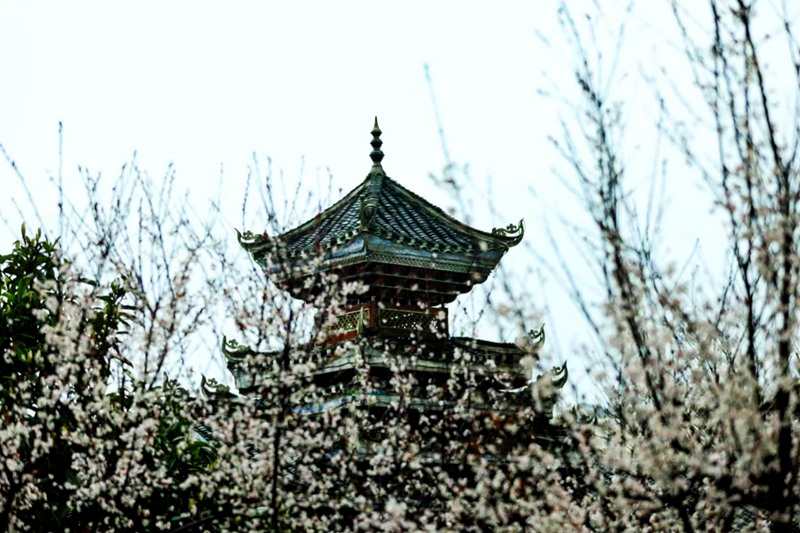 微信图片_20250310201842.jpg