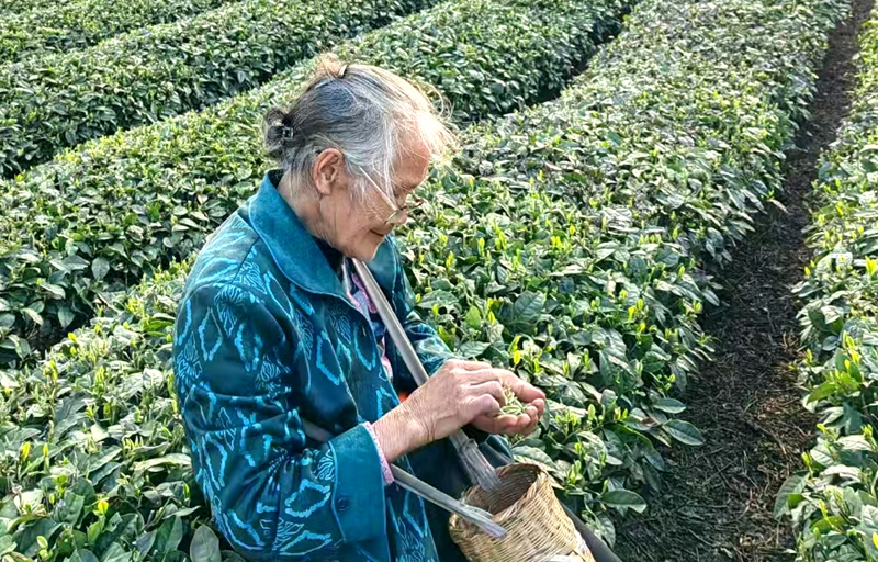 微信图片_20250409180903.jpg