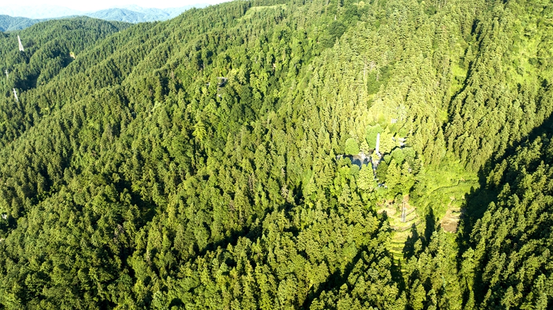 黎平县南泉山生态公园景观 (4)_proc.jpg