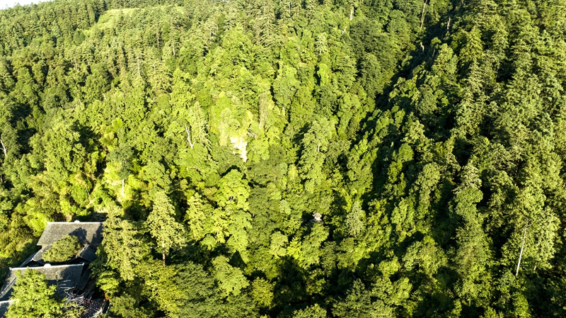 黎平县南泉山生态公园景观 (5)_proc.jpg