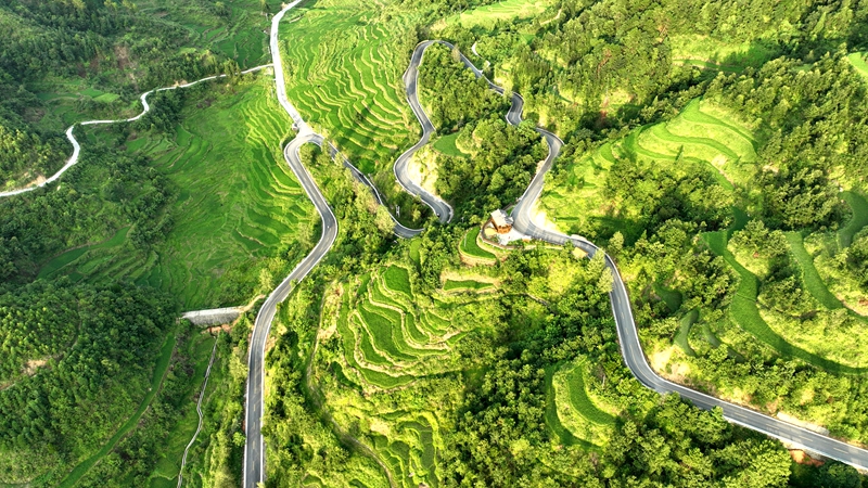 环绕在青山梯田间的中国乡村旅游1号公路 (4)_proc.jpg