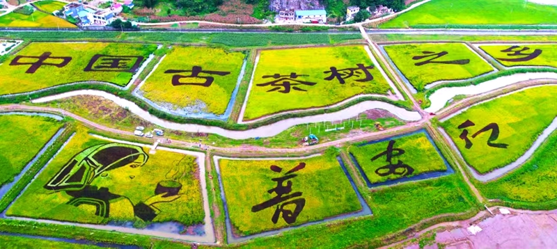 微信图片_20241229123217.jpg