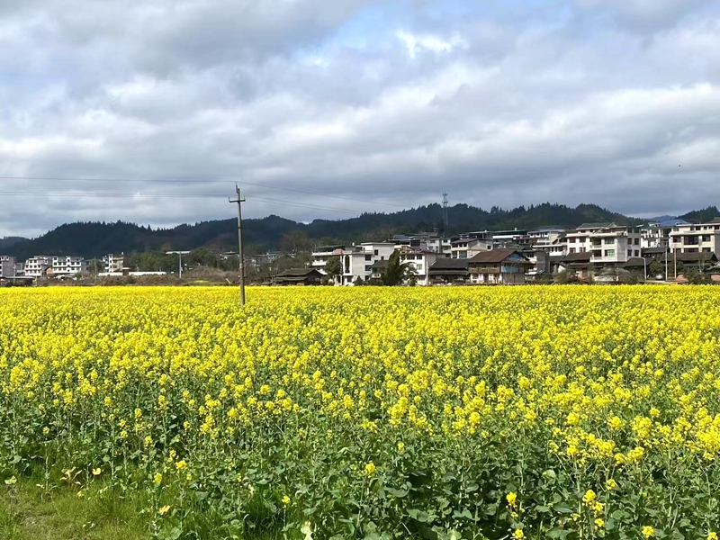 微信图片_20250320182737.jpg
