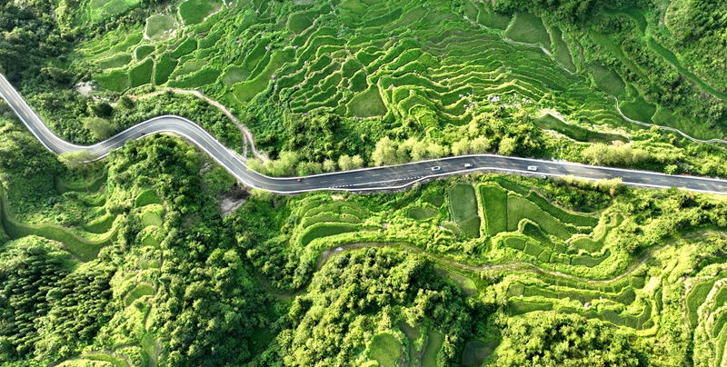 环绕在青山梯田间的中国乡村旅游1号公路 (6)_proc.jpg